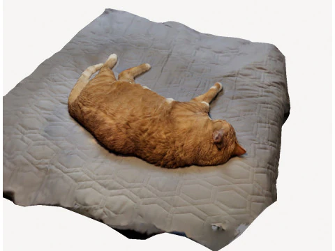 Hero the cat 3D Model