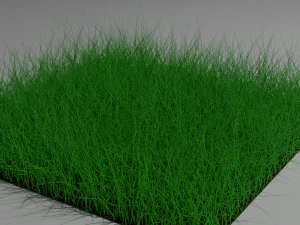 Gras 3D Model