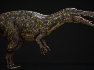 Dinosaur - Suchomimus Tenerensis 3D Model