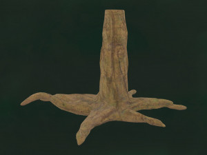 Tree Unleafs Dark F01 3D Model