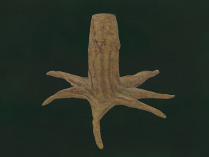 Tree Unleafs Dark F01 3D Model