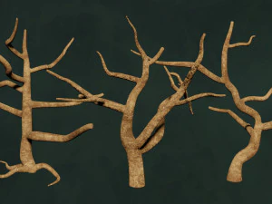 Paket Pohon - Unleafs Assets Nature Env Model 3D