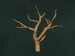 Trees Pack - Unleafs Assets Nature Env 3D Model