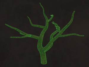 Trees Pack - Unleafs Assets Nature Env 3D Model