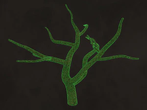 Trees Pack - Unleafs Assets Nature Env 3D Model