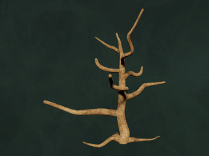 Trees Pack - Unleafs Assets Nature Env 3D Model