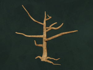 Trees Pack - Unleafs Assets Nature Env 3D Model