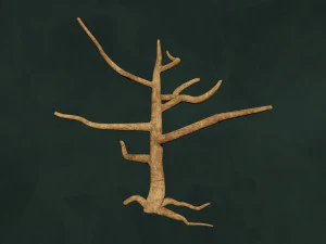 Trees Pack - Unleafs Assets Nature Env 3D Model