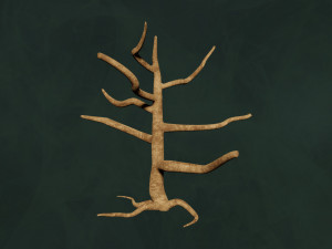 Trees Pack - Unleafs Assets Nature Env 3D Model