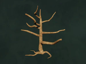 Trees Pack - Unleafs Assets Nature Env 3D Model