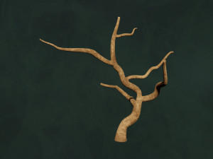 Trees Pack - Unleafs Assets Nature Env 3D Model