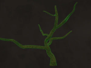 Trees Pack - Unleafs Assets Nature Env 3D Model