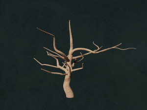 Trees F3 Pack - Unleafs Assets Nature Env 3D Model