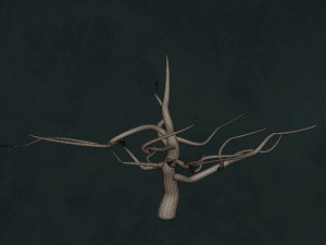 Trees F3 Pack - Unleafs Assets Nature Env 3D Model