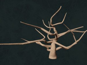 Trees F3 Pack - Unleafs Assets Nature Env 3D Model
