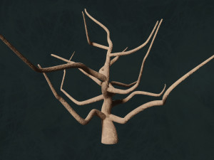 Trees F3 Pack - Unleafs Assets Nature Env 3D Model