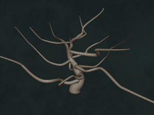 Trees F3 Pack - Unleafs Assets Nature Env 3D Model