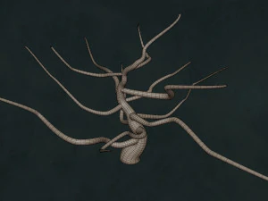 Trees F3 Pack - Unleafs Assets Nature Env 3D Model