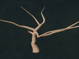 Trees F3 Pack - Unleafs Assets Nature Env 3D Model