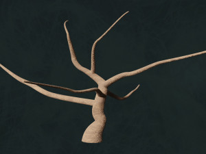 Trees F3 Pack - Unleafs Assets Nature Env 3D Model