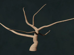 Trees F3 Pack - Unleafs Assets Nature Env 3D Model