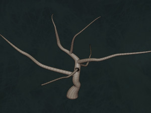 Trees F3 Pack - Unleafs Assets Nature Env 3D Model