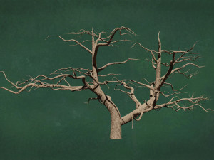 Trees F4 GR1 Pack - Unleafs Assets Nature Env 3D 모델