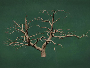 Trees F4 GR1 Pack - Unleafs Assets Nature Env 3D 모델