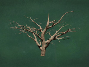 Trees F4 GR1 Pack - Unleafs Assets Nature Env 3D 모델