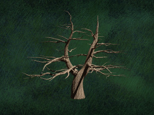 Trees F4 GR2 Pack - Unleafs Assets Nature Env Model 3D