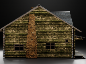 Forest hut 3D Model
