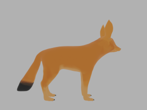 Fox Fennec 3D 模型