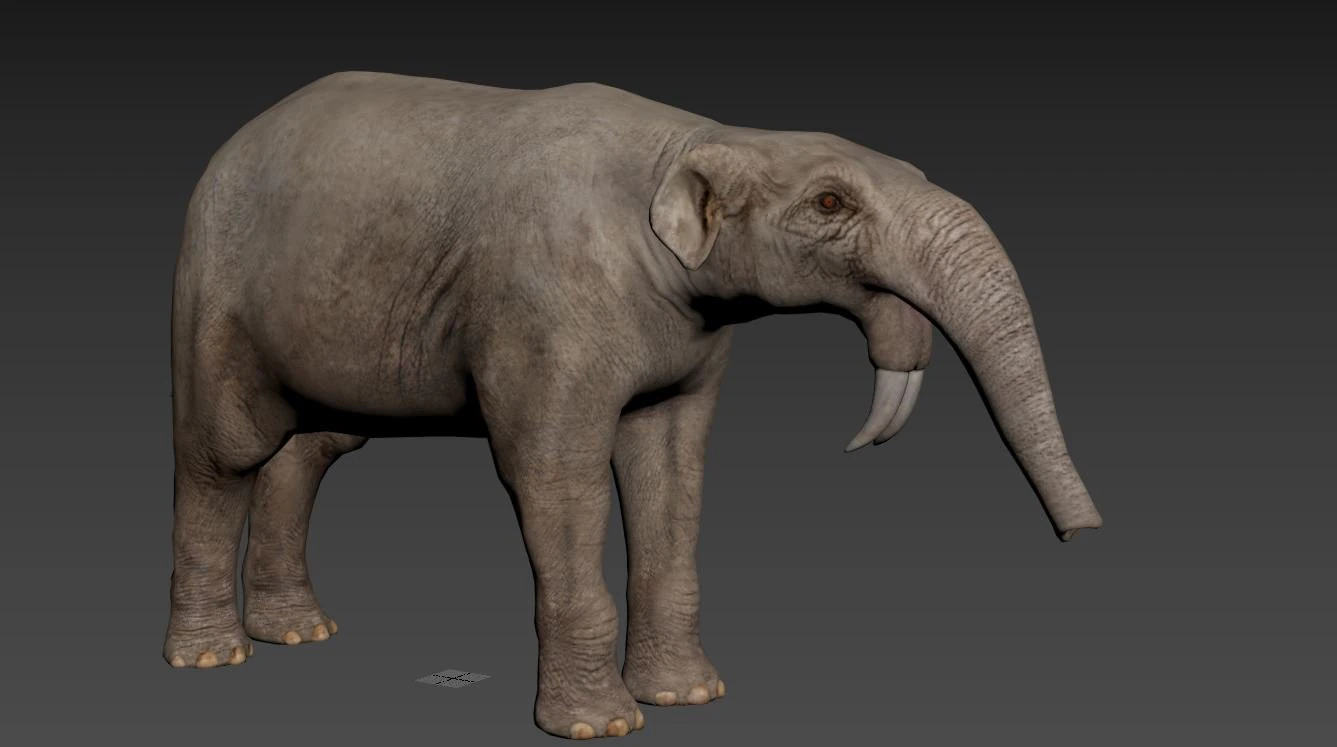 古代大象原始 3D 模型 .c4d .max .obj .3ds .fbx .stl .blend 