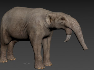 Ancient Elephant Primitive 3D Model