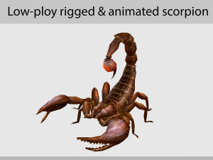 Animated scorpion Modèle 3D