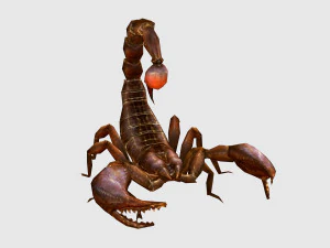 Анимированный скорпион 3D Модель