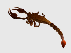 Анимированный скорпион 3D Модель