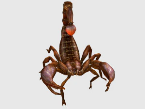 Анимированный скорпион 3D Модель