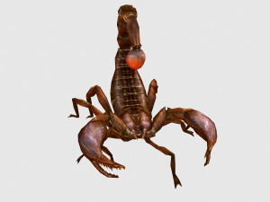 Animated scorpion 3Dモデル