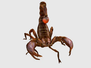 Анимированный скорпион 3D Модель