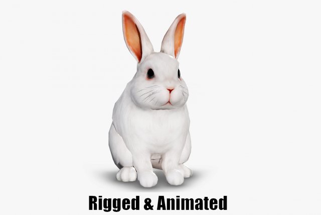 Animated white rabbit 3D Model .c4d .max .obj .3ds .fbx .stl .blend 