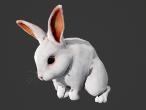 Animated white rabbit 3D Model