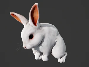Animated white rabbit 3D Model