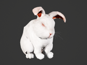 Animated white rabbit 3D Model