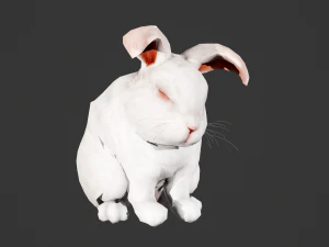 Animated white rabbit 3D Model