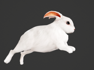 Animated white rabbit 3D Model