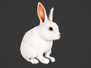 Animated white rabbit 3D Model
