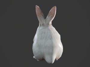 Animated white rabbit 3D Model