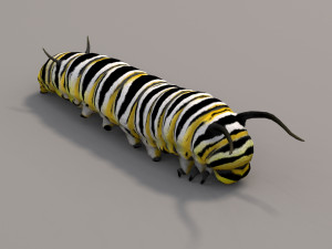 Caterpillar 3D Model