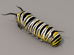 Caterpillar 3D Model